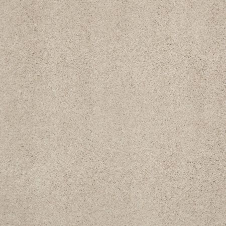 Shaw Floors Caress By Shaw Cashmere Classic II Net Suede