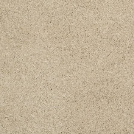 Shaw Floors Caress By Shaw Cashmere Classic II Net Gentle Doe