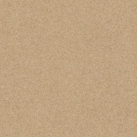 Shaw Floors Caress By Shaw Cashmere Classic II Net Manilla
