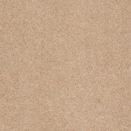 Shaw Floors Caress By Shaw Cashmere Classic II Net Maplewood North