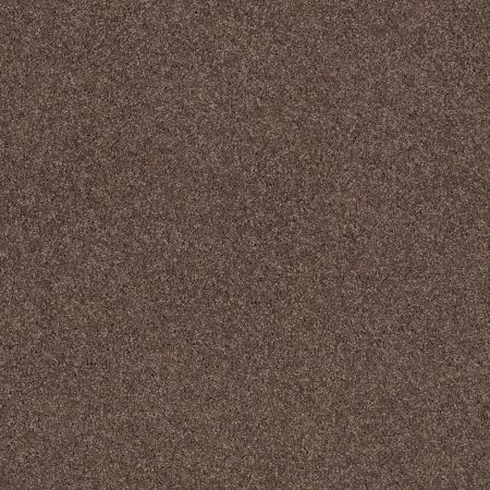 Shaw Floors Caress By Shaw Cashmere Classic II Net Spring - Wood