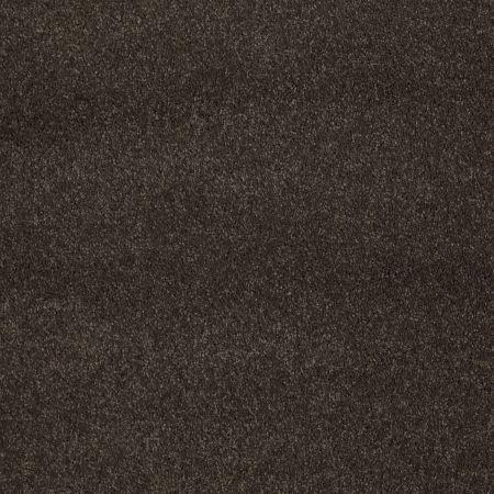 Shaw Floors Caress By Shaw Cashmere Classic II Net Chestnut