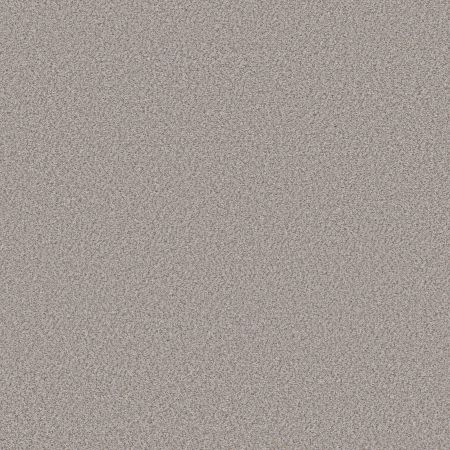 Shaw Floors Simply The Best Boundless I Net White Wash