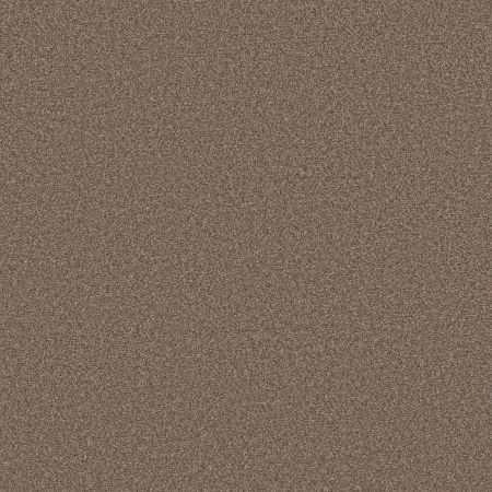 Shaw Floors Simply The Best Boundless I Net Treasure Trove