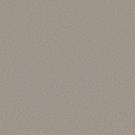 Shaw Floors Simply The Best Boundless I Net North Shore