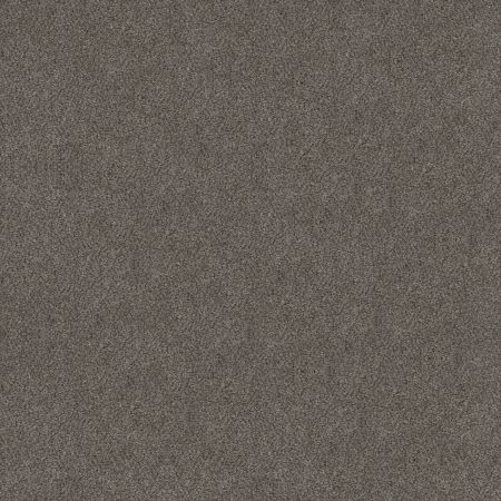 Shaw Floors Simply The Best Boundless I Net Magnetic