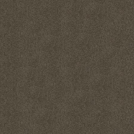 Shaw Floors Simply The Best Boundless I Net Chestnut Ridge