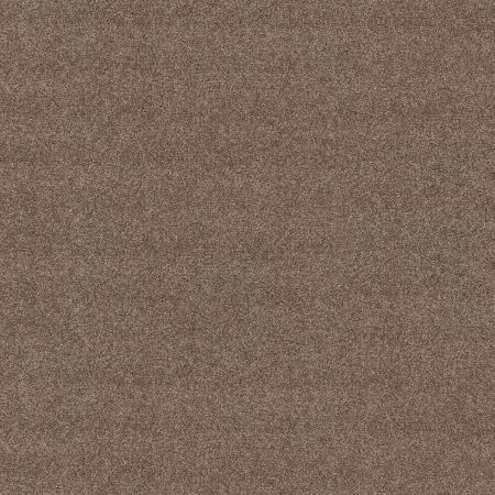 Shaw Floors Simply The Best Boundless II Net Treasure Trove