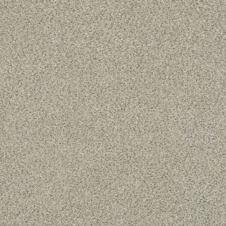 Shaw Floors Simply The Best Boundless II Net Creamery