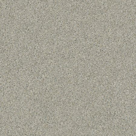 Shaw Floors Simply The Best Boundless II Net Soft Breeze