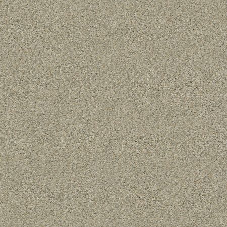 Shaw Floors Simply The Best Boundless II Net Morning Light