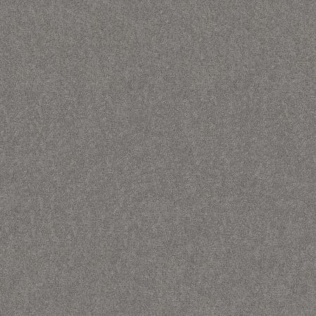 Shaw Floors Simply The Best Boundless II Net Flannel