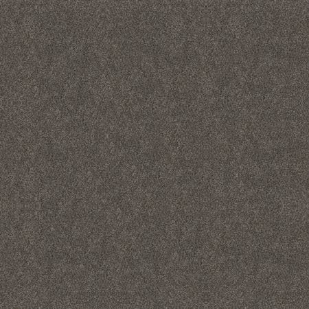 Shaw Floors Simply The Best Boundless II Net Shadow