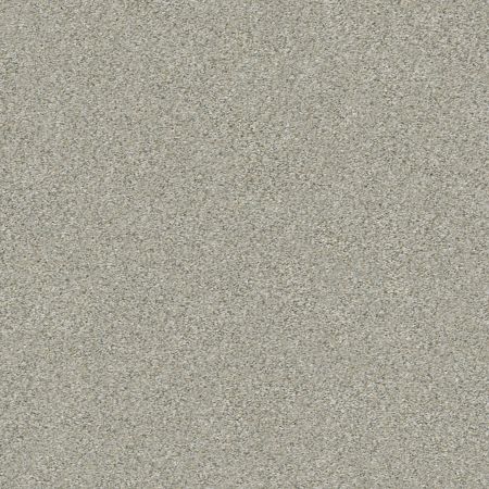 Shaw Floors Simply The Best Boundless III Net Soft Breeze