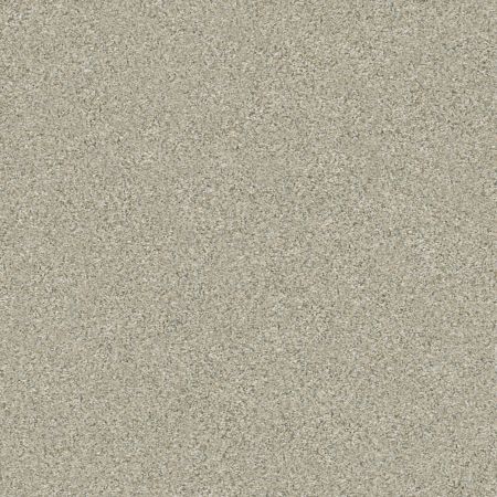 Shaw Floors Simply The Best Boundless Iv Net Creamery