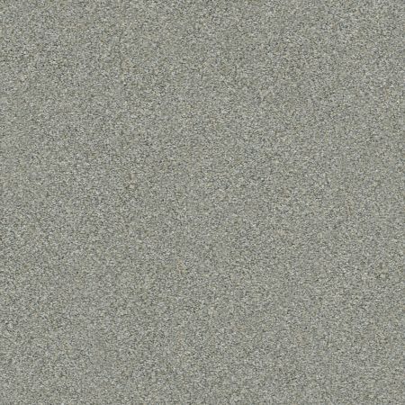 Shaw Floors Simply The Best Boundless Iv Net Distant Star