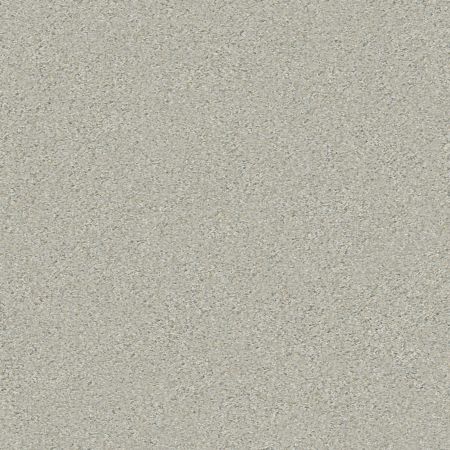 Shaw Floors Simply The Best Boundless Iv Net Reflection