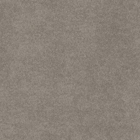 Shaw Floors Simply The Best Without Limits I Net Abalone