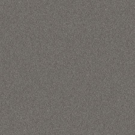 Shaw Floors Simply The Best Without Limits I Net Silver Spoon