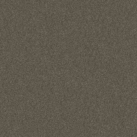 Shaw Floors Simply The Best Without Limits I Net Boardwalk