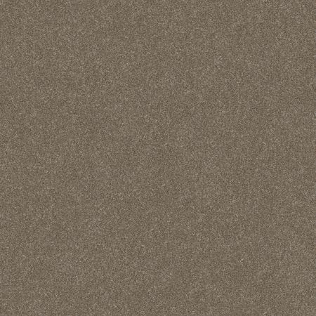 Shaw Floors Simply The Best Without Limits II Net Sandbank