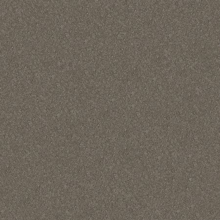 Shaw Floors Simply The Best Without Limits II Net Travatan