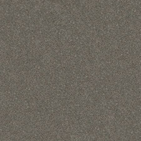 Shaw Floors Simply The Best Without Limits II Net Organic