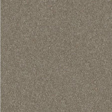 Shaw Floors Simply The Best Without Limits III Net Macadamia