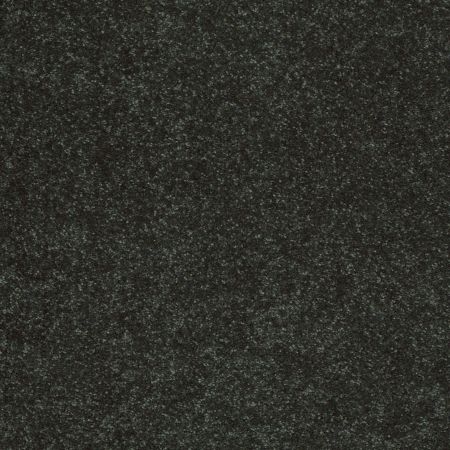 Shaw Floors Value Collections Sandy Hollow Cl II Net Lilly Pad