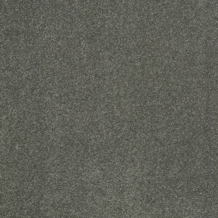 Shaw Floors Value Collections Sandy Hollow Cl II Net Bahama Bay