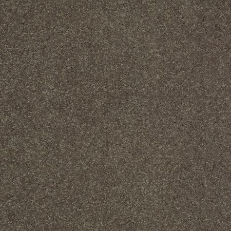 Shaw Floors Value Collections Sandy Hollow Cl II Net Castle Rock