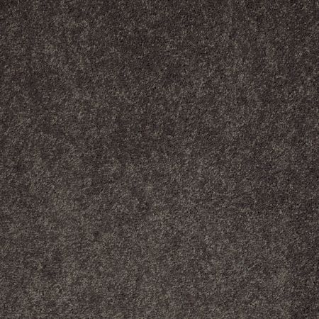 Shaw Floors Value Collections Sandy Hollow Cl II Net Arrowhead