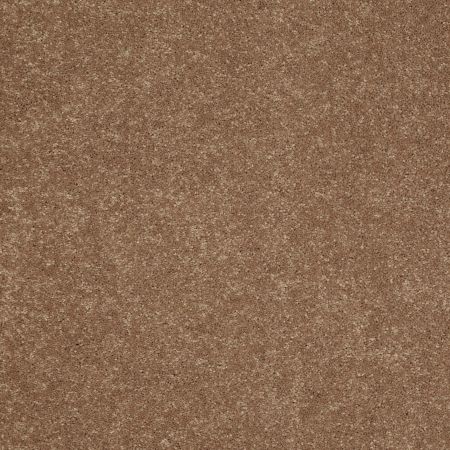 Shaw Floors Value Collections Sandy Hollow Cl II Net Windmill