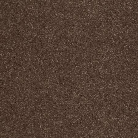 Shaw Floors Value Collections Sandy Hollow Cl II Net Wooden Box