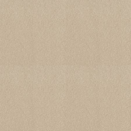 Shaw Floors Value Collections Sandy Hollow Cl III Net Pudding