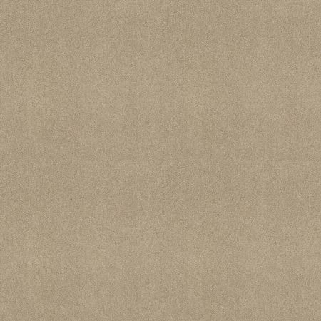 Shaw Floors Value Collections Sandy Hollow Cl III Net Oatmeal