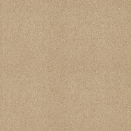 Shaw Floors Value Collections Sandy Hollow Cl III Net Cashew