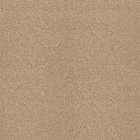 Shaw Floors Value Collections Sandy Hollow Cl III Net Stucco