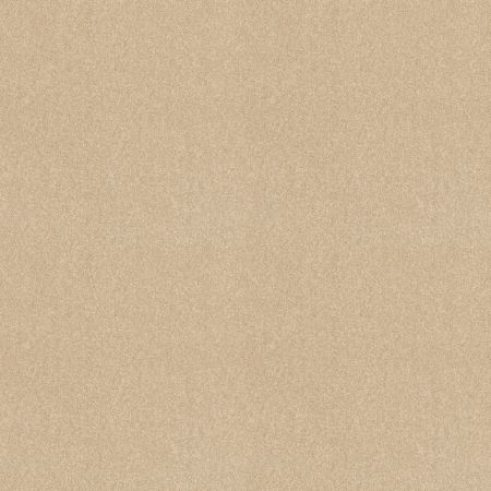 Shaw Floors Value Collections Sandy Hollow Cl III Net Almond Flake