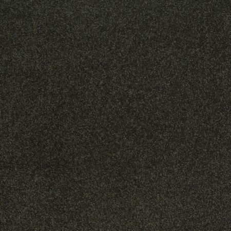 Shaw Floors Value Collections Sandy Hollow Cl III Net Lilly Pad