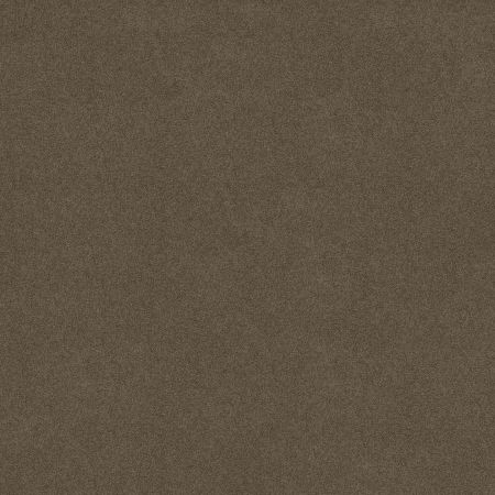 Shaw Floors Value Collections Sandy Hollow Cl III Net Castle Rock