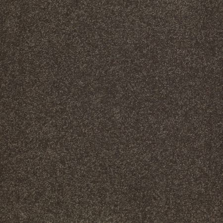 Shaw Floors Value Collections Sandy Hollow Cl III Net Arrowhead