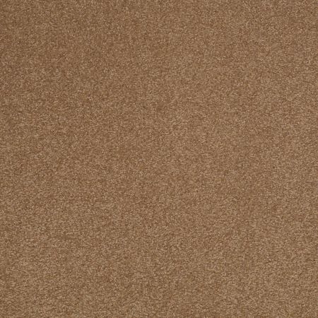 Shaw Floors Value Collections Sandy Hollow Cl III Net Windmill