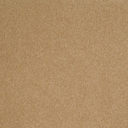 Shaw Floors Value Collections Sandy Hollow Cl III Net Cork