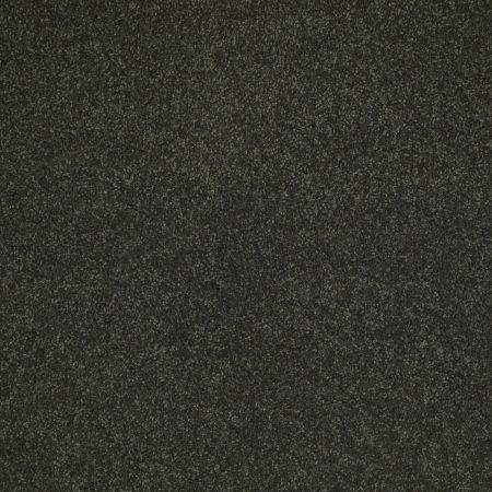 Shaw Floors Value Collections Sandy Hollow Cl Iv Net Lilly Pad