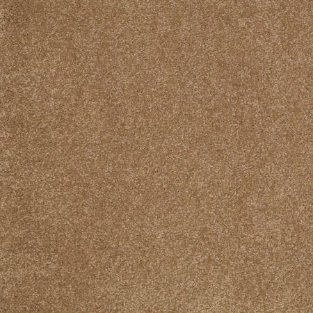 Shaw Floors Value Collections Sandy Hollow Cl Iv Net Windmill