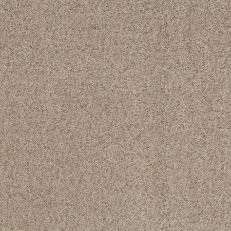 Shaw Floors Value Collections Work It Out Net Shell Island