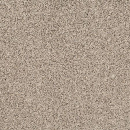 Shaw Floors Value Collections Work It Out Net Moonwalk