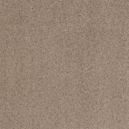 Shaw Floors Value Collections Work It Out Net Sweet Tea