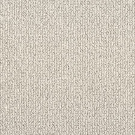 Shaw Floors Pet Perfect Plus Crafted Embrace Net Champagne Toast